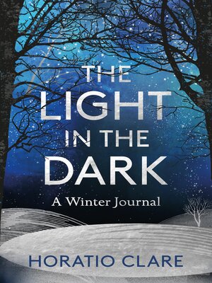 cover image of The Light in the Dark